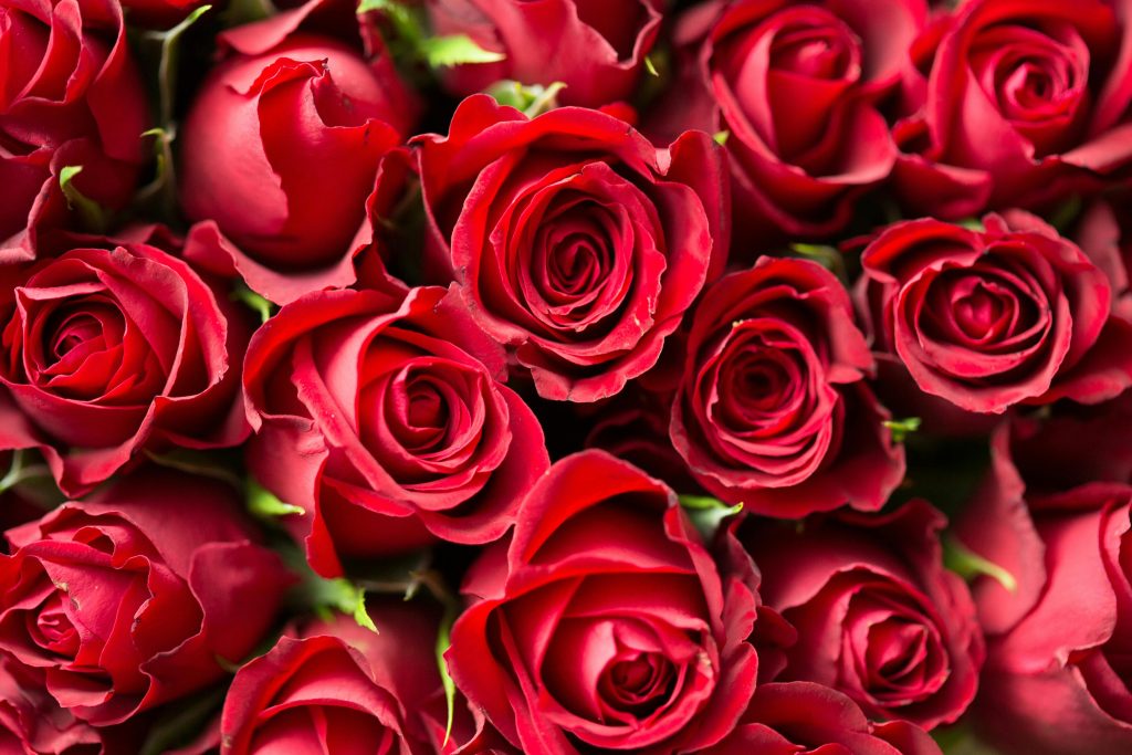 pexels-picjumbo-com-55570-196664 Día de San Valentín